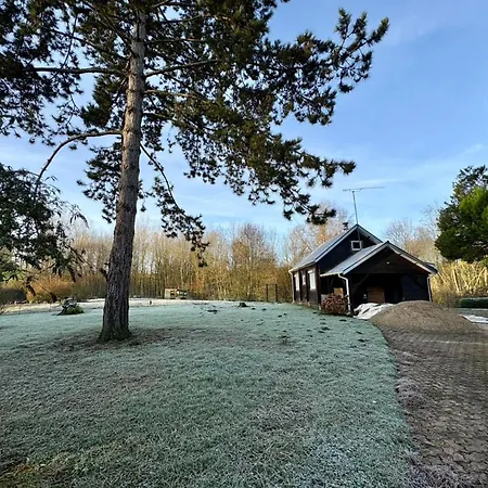 Peacock *